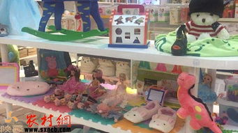 掘金鄉(xiāng)野新藍(lán)海 三大農(nóng)村創(chuàng)業(yè)項目，玩具技術(shù)開發(fā)與銷售引領(lǐng)風(fēng)潮